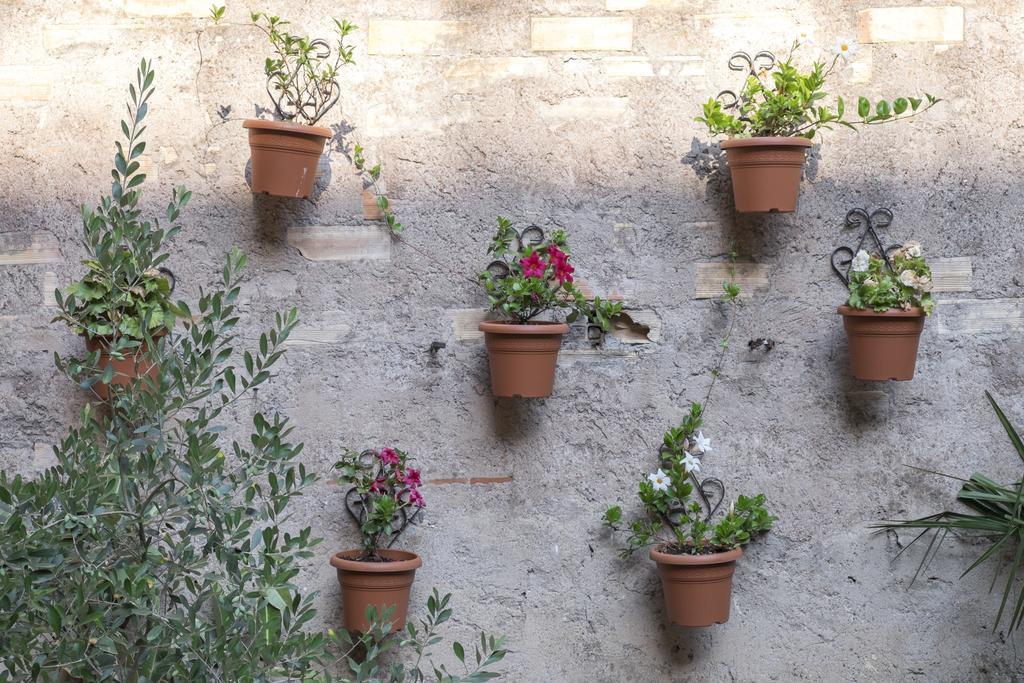 Colosseum Garden Roma Exterior foto